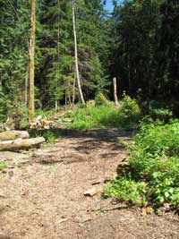 Homesite
August 2007
